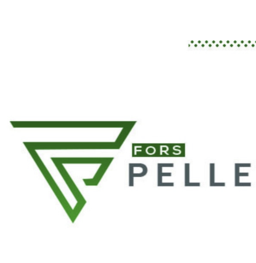 Fors pelle ayakkabı