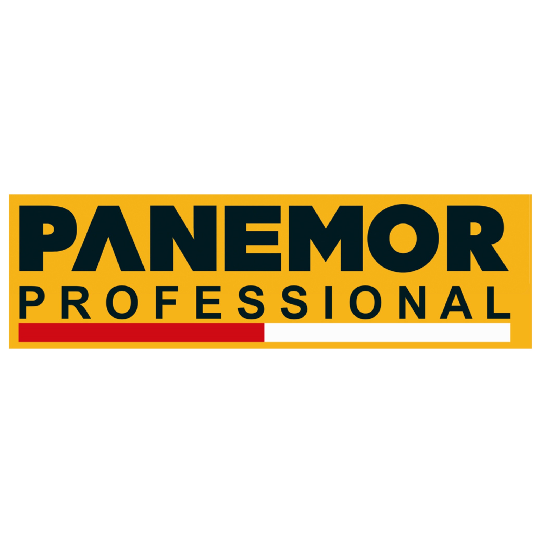 Panemor Makine Sanayi Ve Ticaret Limited Şirketi